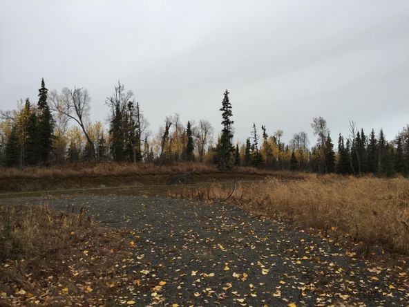 63885 Tailwind Rd, Ninilchik, AK 99639